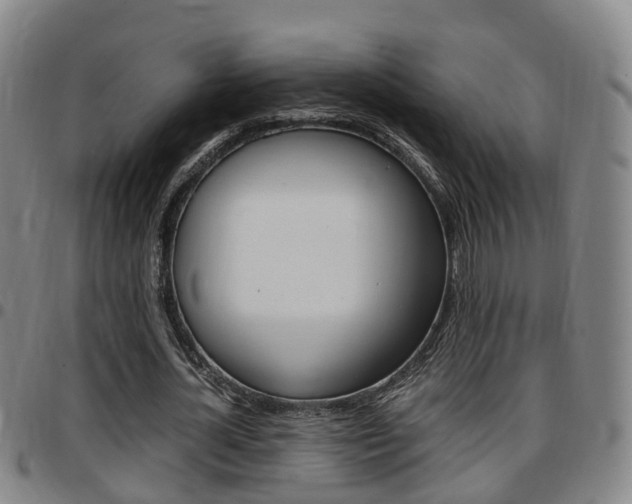 X0000097880724200803140941