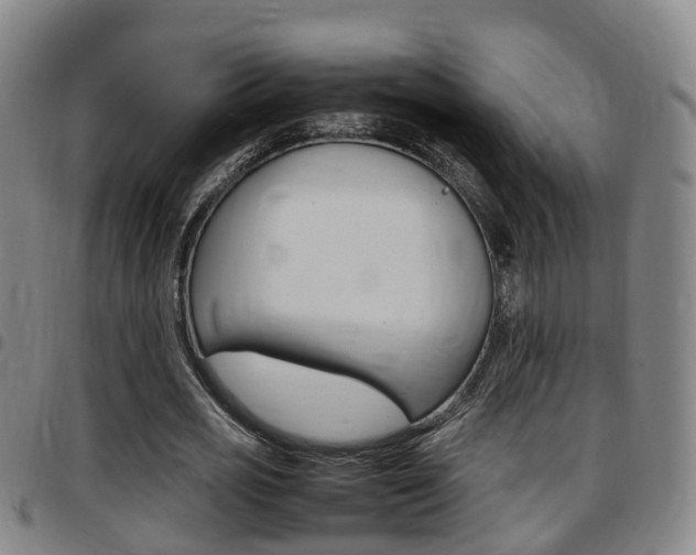 X0000097880725200803140941