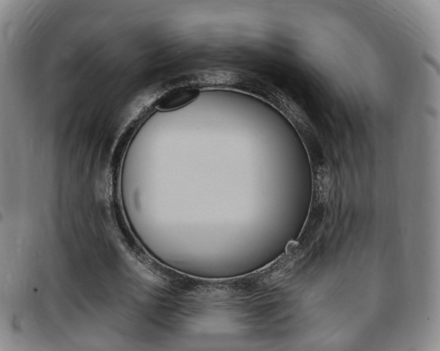 X0000097880726200803140941