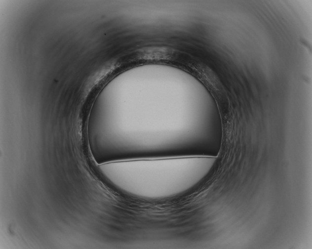 X0000097880727200803140941