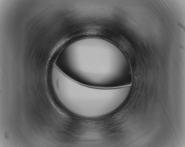 X0000097880728200803140941