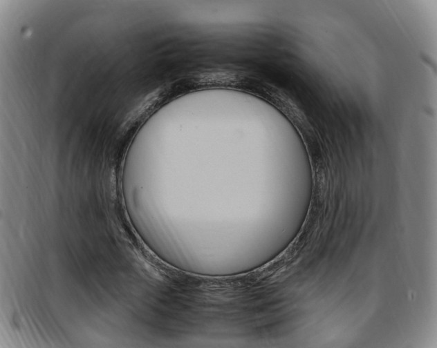 X0000097880729200803140941