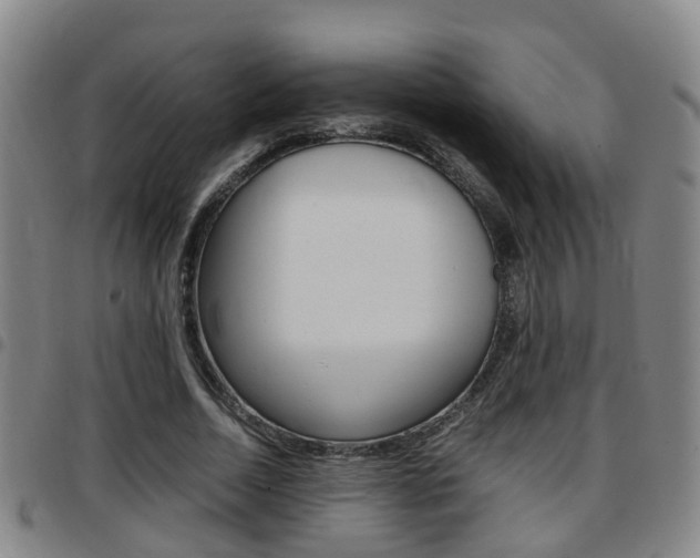 X0000097880730200803140941