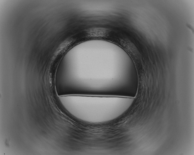 X0000097880731200803140941