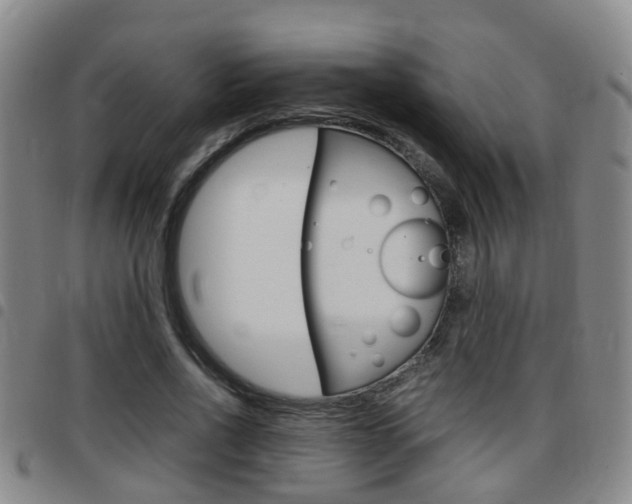 X0000097880734200803140941