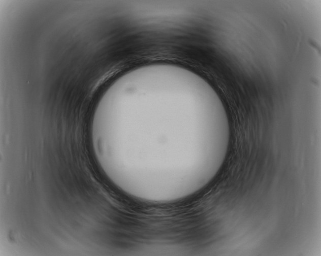 X0000097880735200803140942