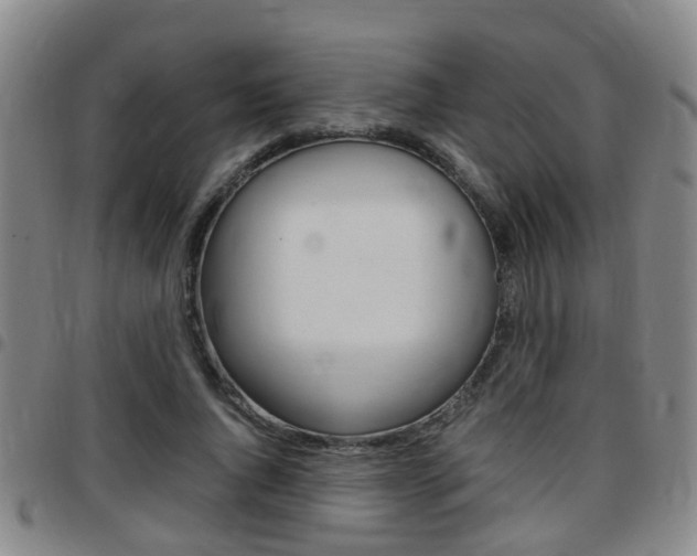 X0000097880736200803140942