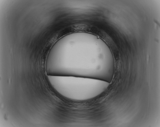 X0000097880737200803140942