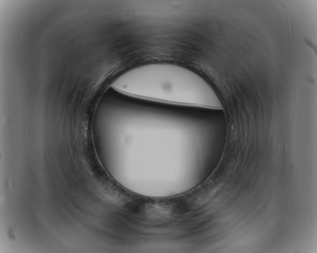 X0000097880739200803140942
