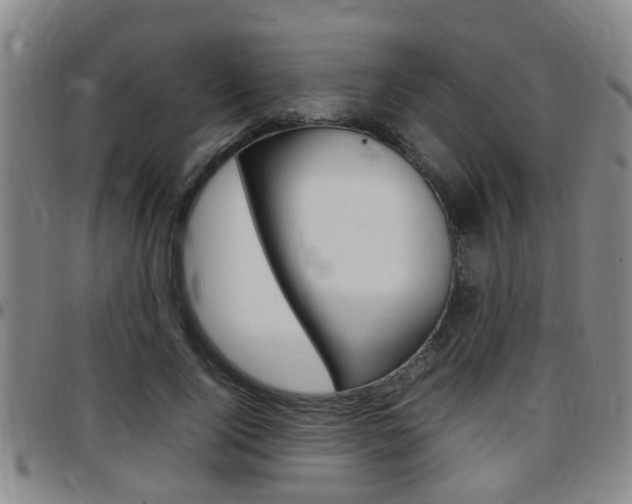 X0000097880740200803140942