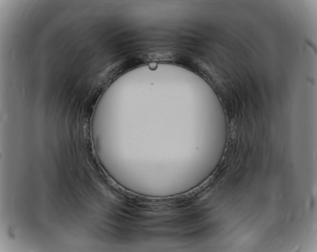 X0000097880741200803140942