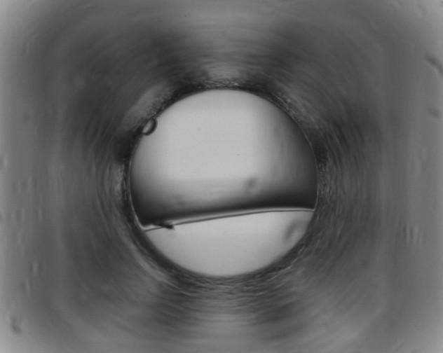 X0000097880742200803140942