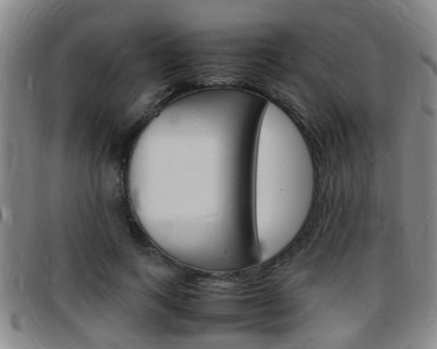 X0000097880743200803140942