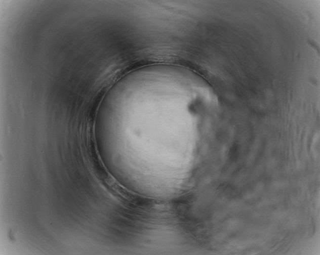X0000097880744200803140942