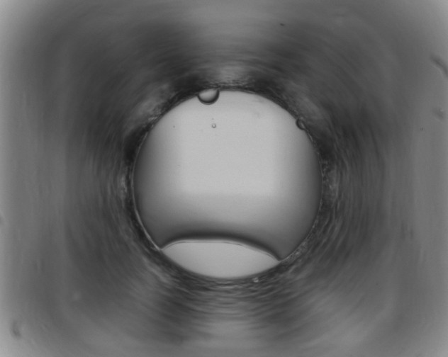 X0000097880746200803140942