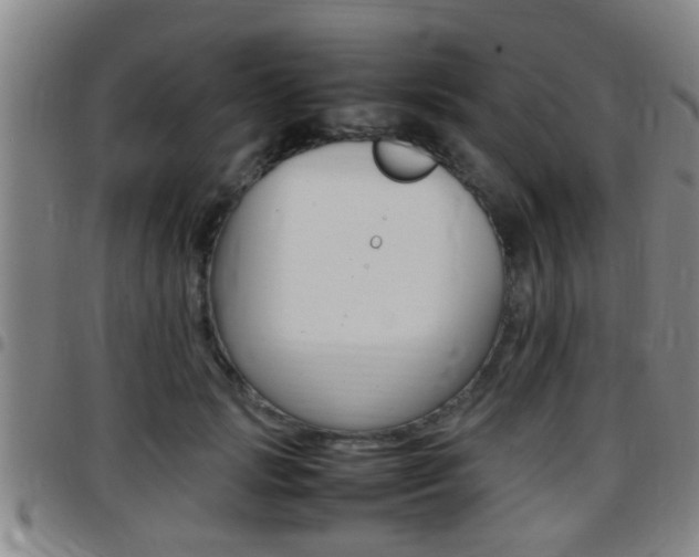 X0000097880749200803140942