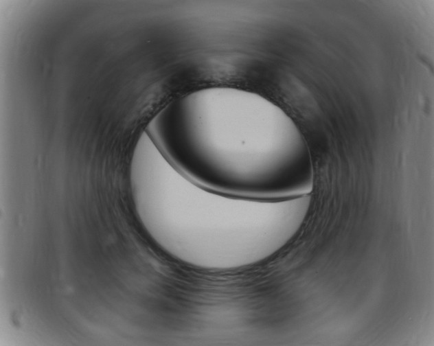 X0000097880750200803140942