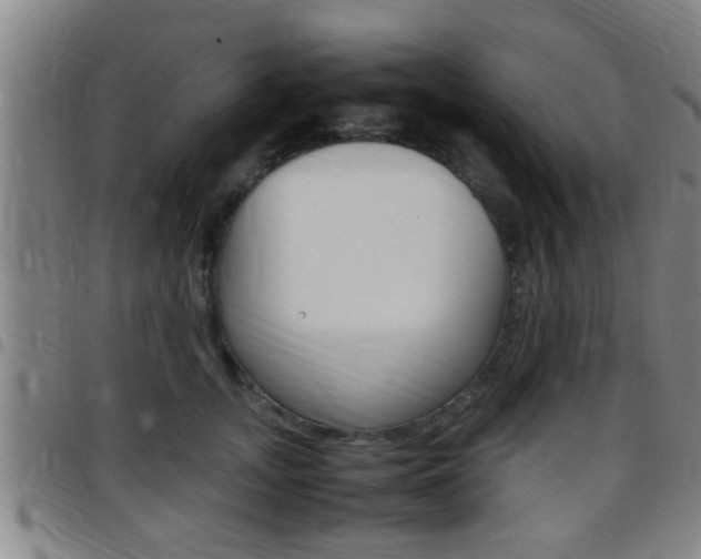 X0000097880755200803140942