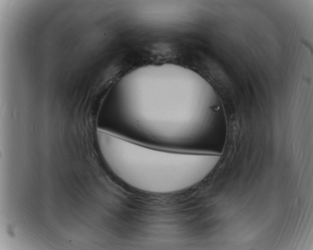 X0000097880756200803140942