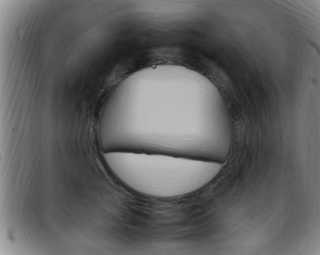 X0000097880757200803140942