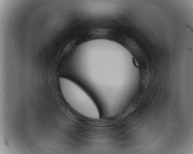 X0000097880758200803140942