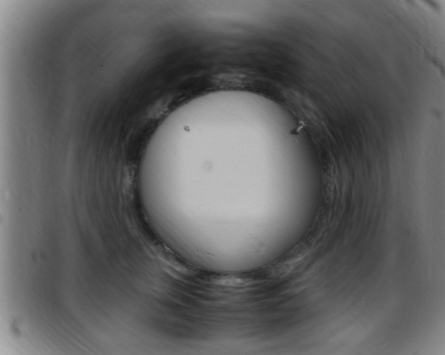 X0000097880759200803140942