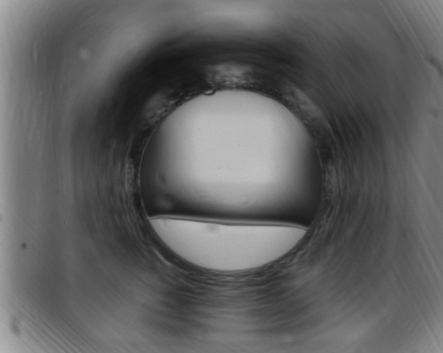 X0000097880760200803140942