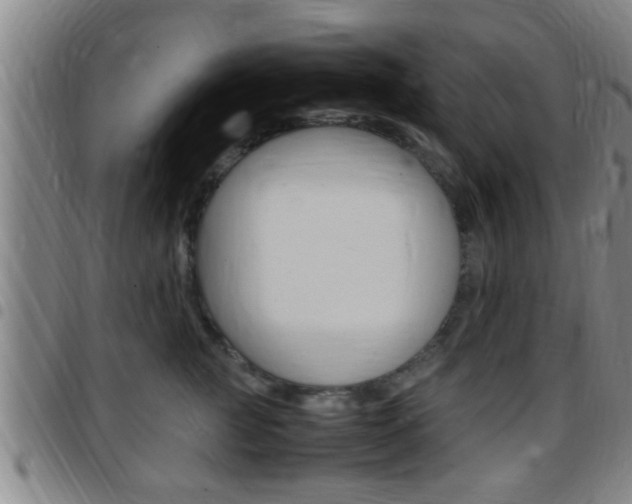 X0000097880761200803140942