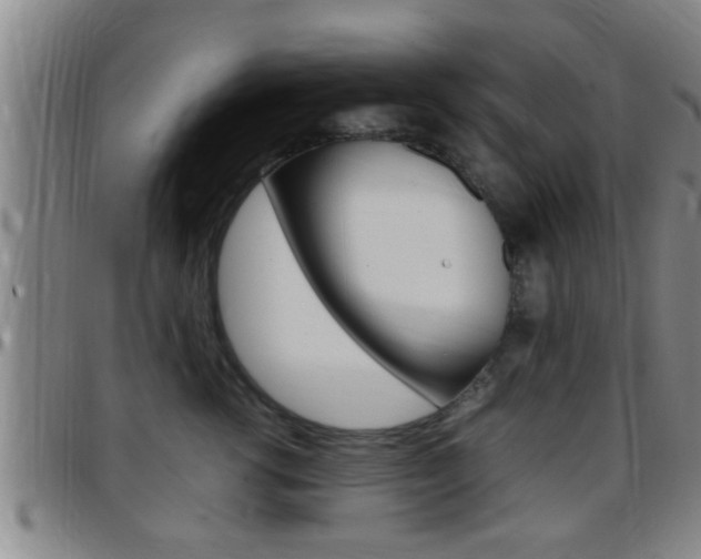 X0000097880762200803140942