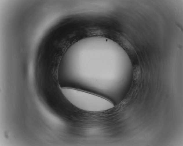X0000097880764200803140942