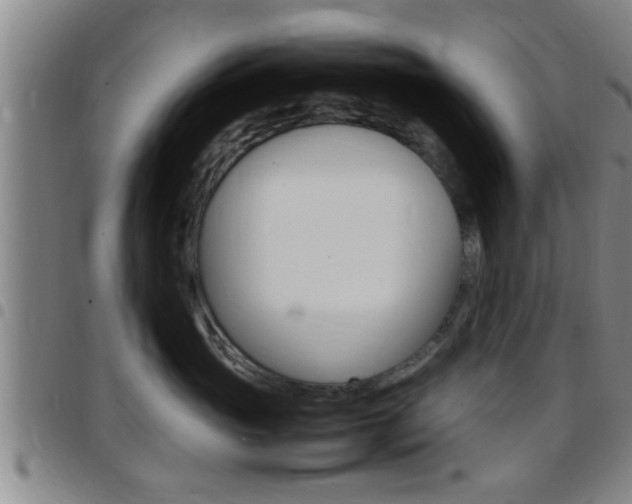 X0000097880765200803140942