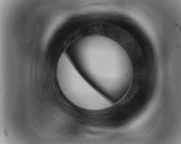 X0000097880766200803140942