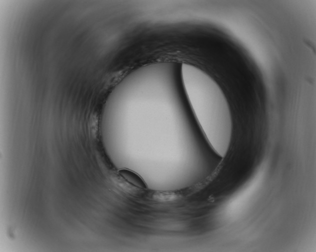 X0000097880767200803140942