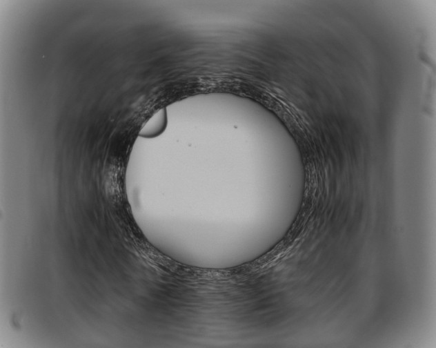 X0000097880770200803140941