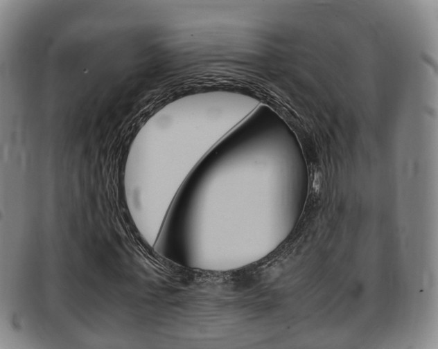 X0000097880771200803140941