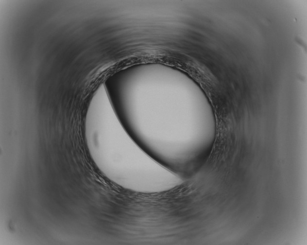 X0000097880773200803140941