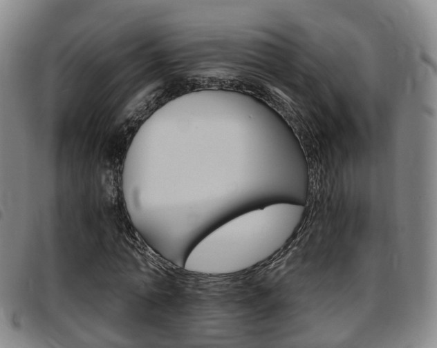 X0000097880774200803140941