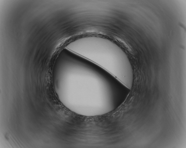 X0000097880776200803140941