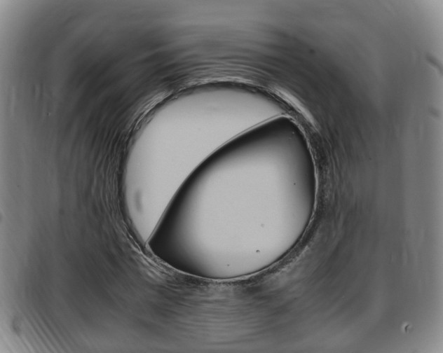 X0000097880777200803140941