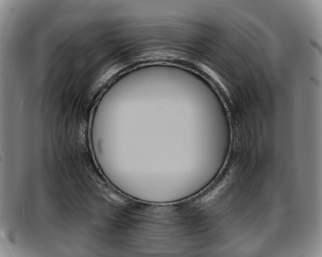 X0000097880778200803140941