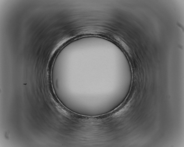 X0000097880779200803140941