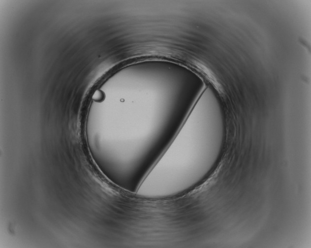 X0000097880780200803140941
