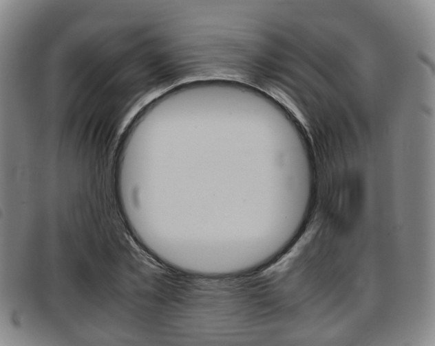 X0000097880781200803140941