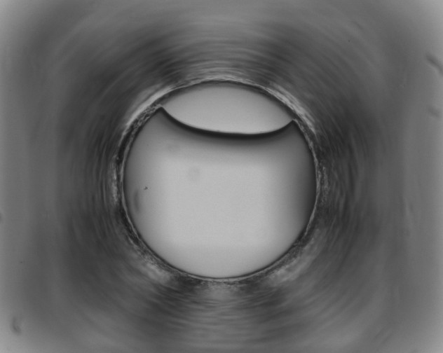 X0000097880782200803140941