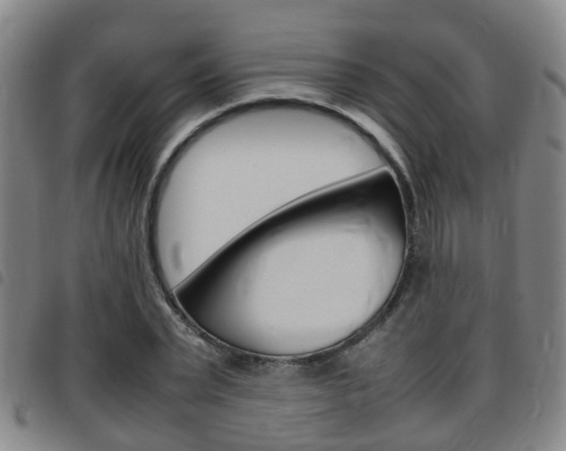 X0000097880783200803140941