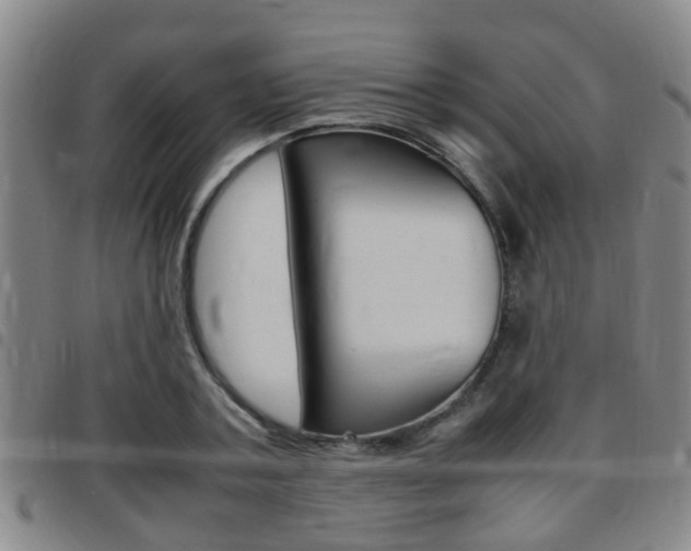 X0000097880787200803140941