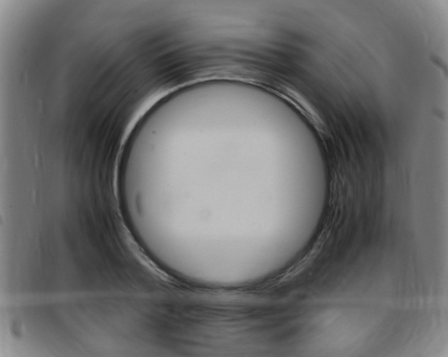 X0000097880788200803140941