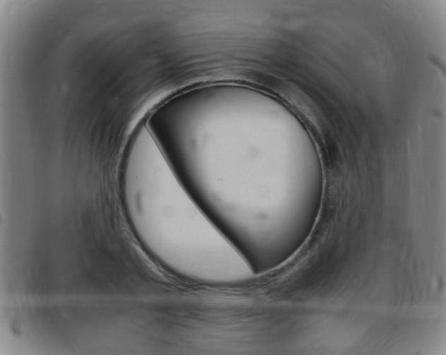 X0000097880789200803140941