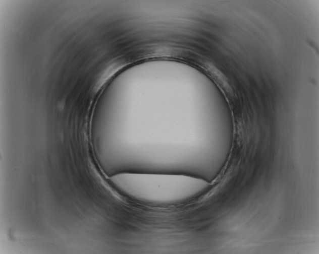 X0000097880794200803140941