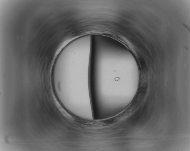 X0000097880795200803140941